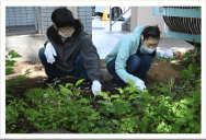 発達支援センターリエールより「花を植えてみた」