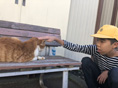 児童デイおそごうから「日常風景??猫?」の報告です。