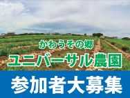 農福推進室より「ユニバーサル農園 参加者大募集！」