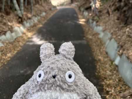湘南希望の郷ケアセンターより「春をこころまち」