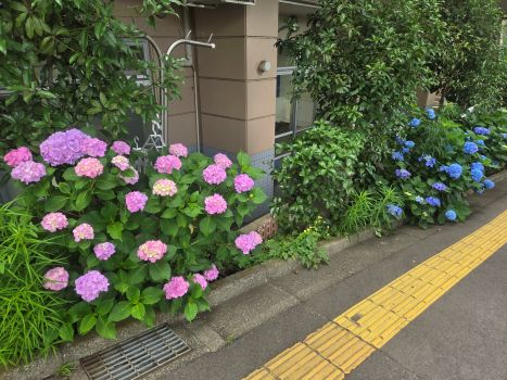 発達支援センターリエールより「梅雨でも元気いっぱいです！」