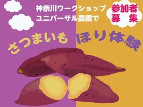 神奈川ワークショップより「さつまいもほり体験 参加者大募集!」