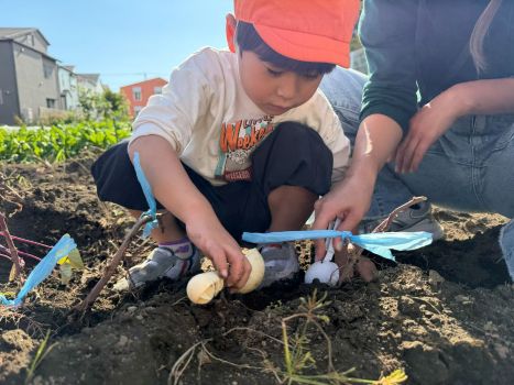 太陽の家 キャロットより 「お芋掘りに行きました！！」