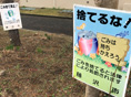 ライフ湘南から「地域とのつながり」