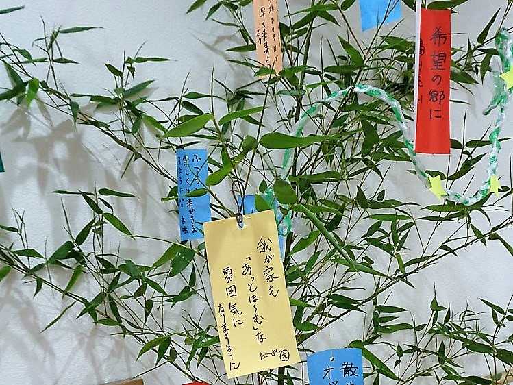 湘南あっとほーむ・ひだまり　ひだまり通信「一人ひとりの願い事」の報告です！