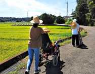 湘南希望の郷より　「小さい秋みつけた！」