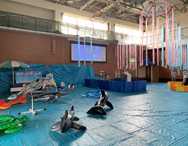 太陽の家 しいの実学園より「太陽の家に『水族館』が出現！？」