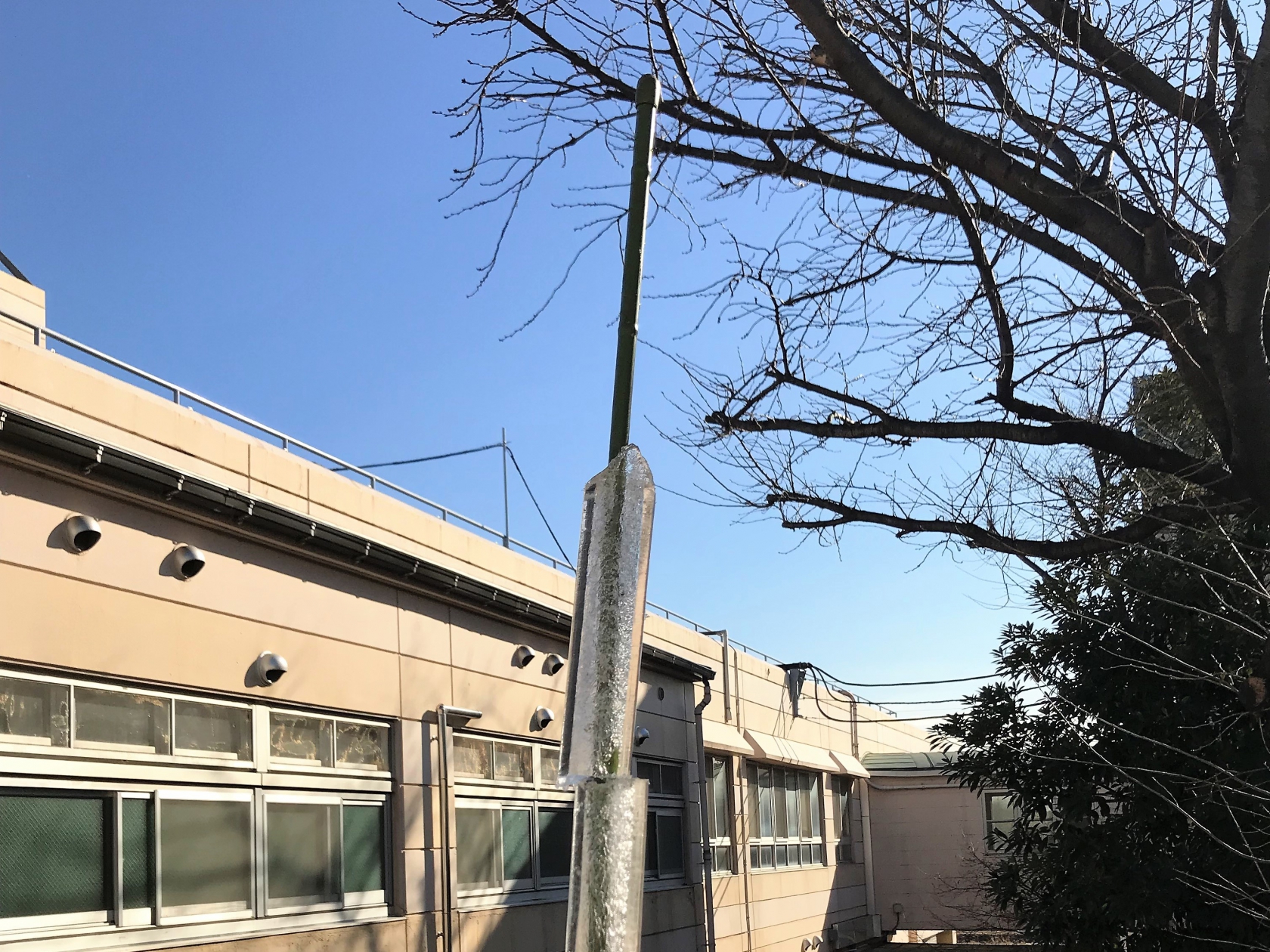 湘南希望の郷から「氷の剣と盾」の報告です。