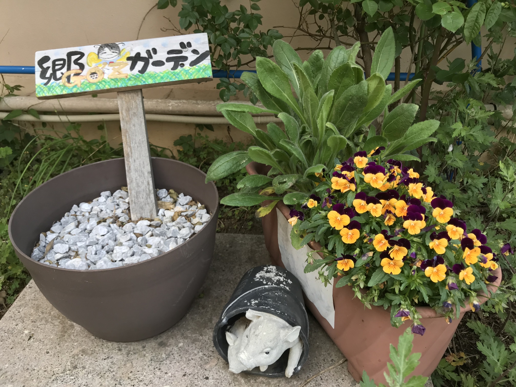 湘南希望の郷から「GO'Sガーデンだより」