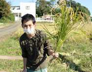 神奈川ワークショップより　「稲刈り体験を行いました！」