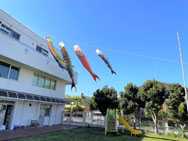 太陽の家 しいの実学園より「端午の節句」