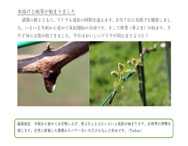 農福推進室より「のうふく通信 2023年春号」が発行されました！