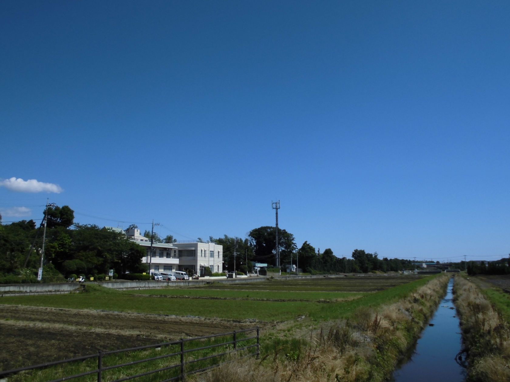 湘南希望の郷から「打戻川の川ざらい」。