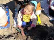 太陽の家 しいの実学園より「さつま芋掘りに行ってきました！！（いちご組）」