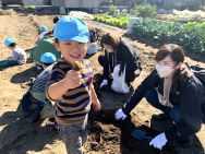 太陽の家 しいの実学園より「さつま芋掘りに行ってきました！！（すみれ組）」