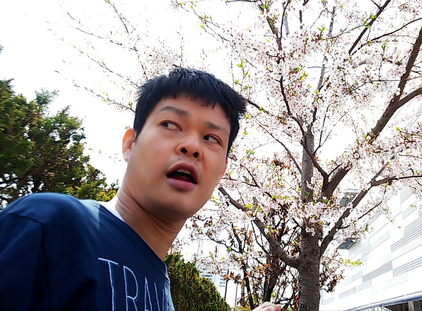 桜と利用者さん