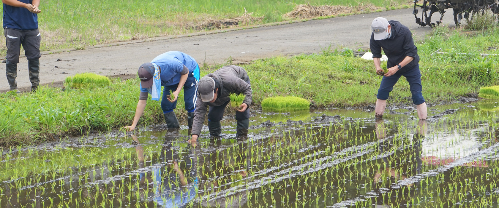 湘南希望の郷　田植え