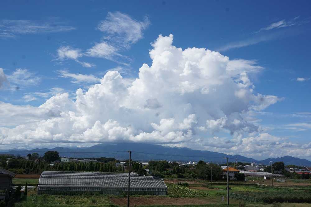 入道雲のよう